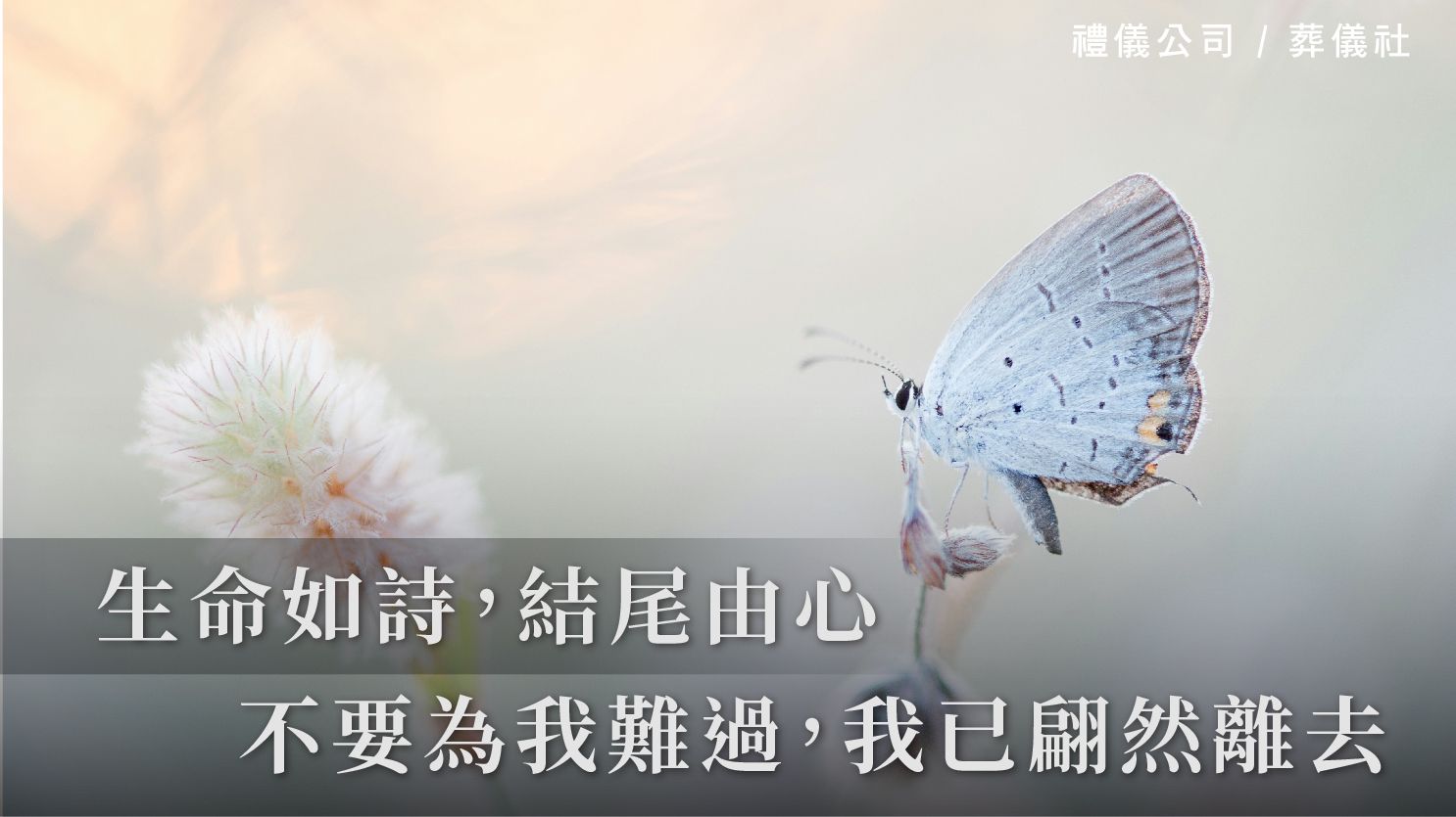 生命如詩，結尾由心－瓊瑤：不要為我難過，我已翩然離去_1070x601_官網.jpg