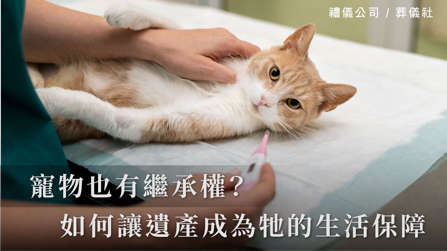 寵物也有繼承權？如何讓遺產成為牠的生活保障_1070x601_官網.jpg