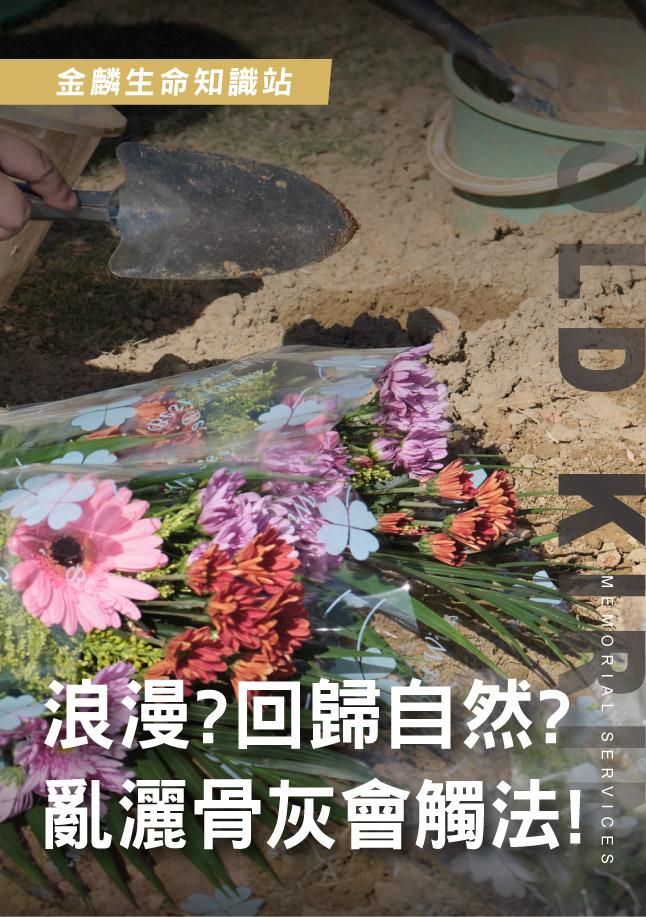 浪漫？回歸自然？.jpg